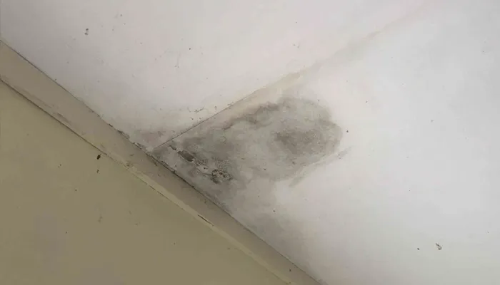 Water is coming through the ceiling