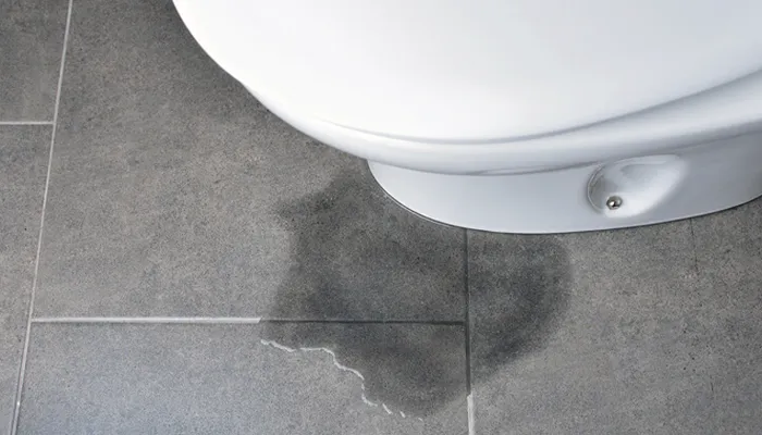 Blocked or overflowing toilets